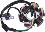 6-coil 5 Wires Pole Magneto Flywheel Stator For 50cc 90cc 110cc 125cc Pit.... Fixed Price $18.99.