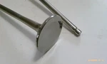 Raptor 700 Ferrea Stainless Intake Valve +2. Fixed Price $49.99.