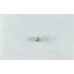 96-266-7 Walbro Screw - Circuit Plate. Fixed Price $2.40.