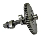 Mod2 Racing Cam Predator 212cc (hemi) Go Kart Minibike Cart Parts Dyno Cams New. Fixed Price $57.95.